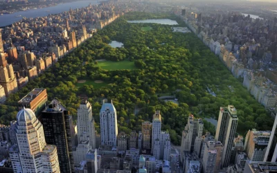 Bleeding Gums? Emergency Dentist Central Park on When That’s a Scary Sign